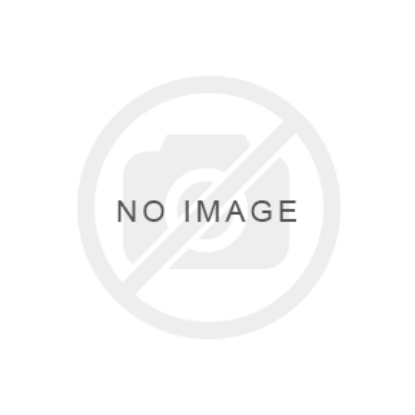 Picture of Tesla Pro Model